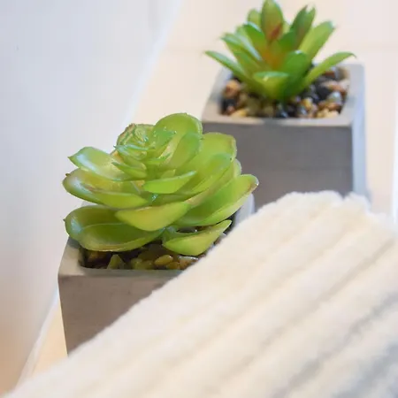 Apartment Salinental