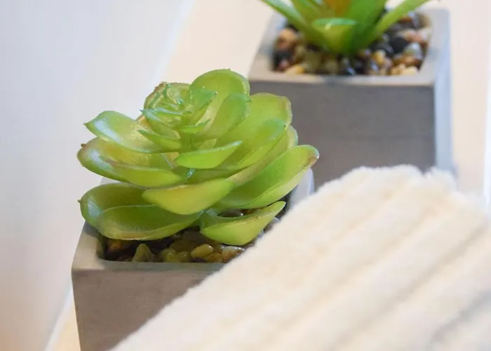 アパート Salinental